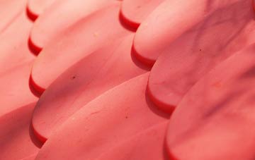 Kylepark plastic roof costs